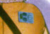 general_tag.jpg (58054 bytes)